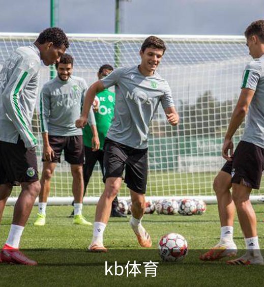 kb体育简介